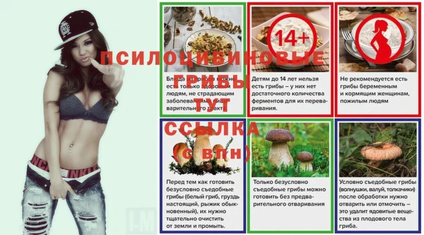 мяу мяу мука Балабаново