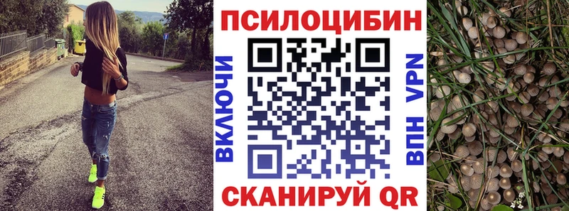продажа наркотиков  Вуктыл  Галлюциногенные грибы GOLDEN TEACHER 